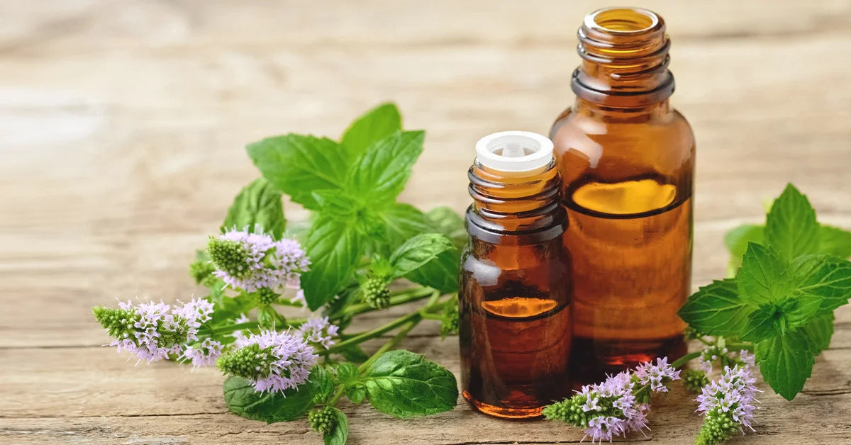 Essential Oil-Peppermint 15ml