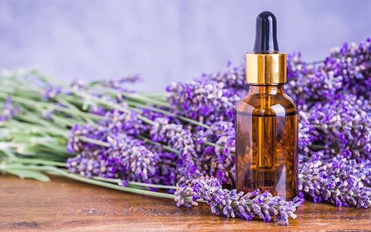 Essential Oil-Lavender 15ml